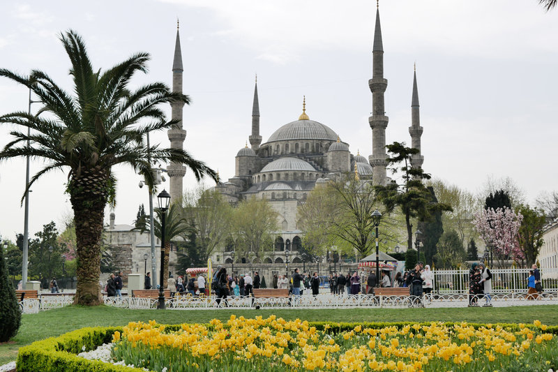 Top 12 Hotels Offering Stunning Views of the Blue Mosque in Istanbul, Turkey